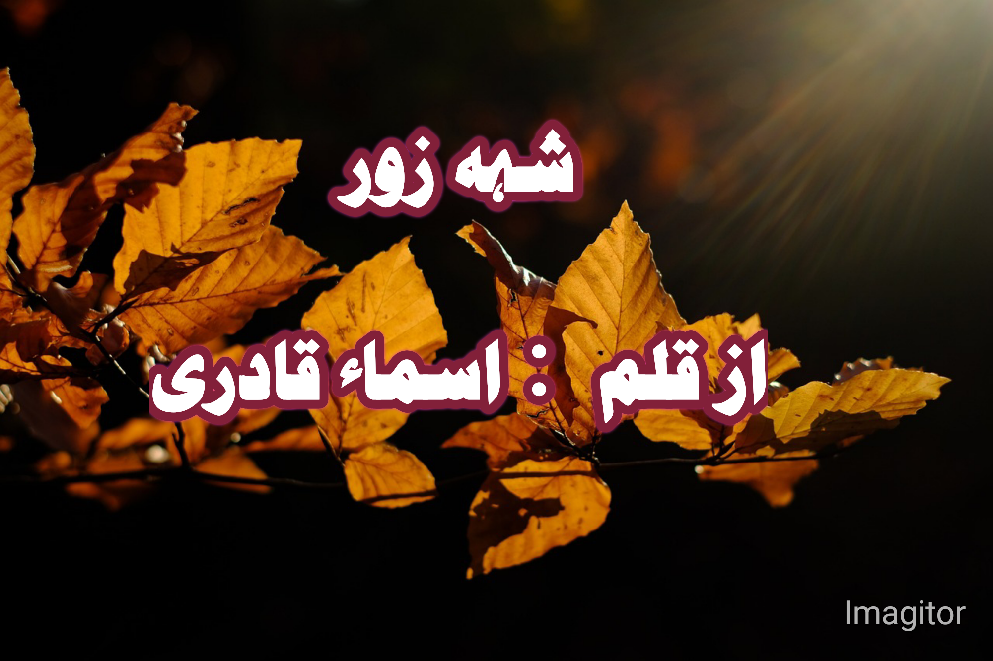 Shehzor epi_36_37_38 by Asma Qadri