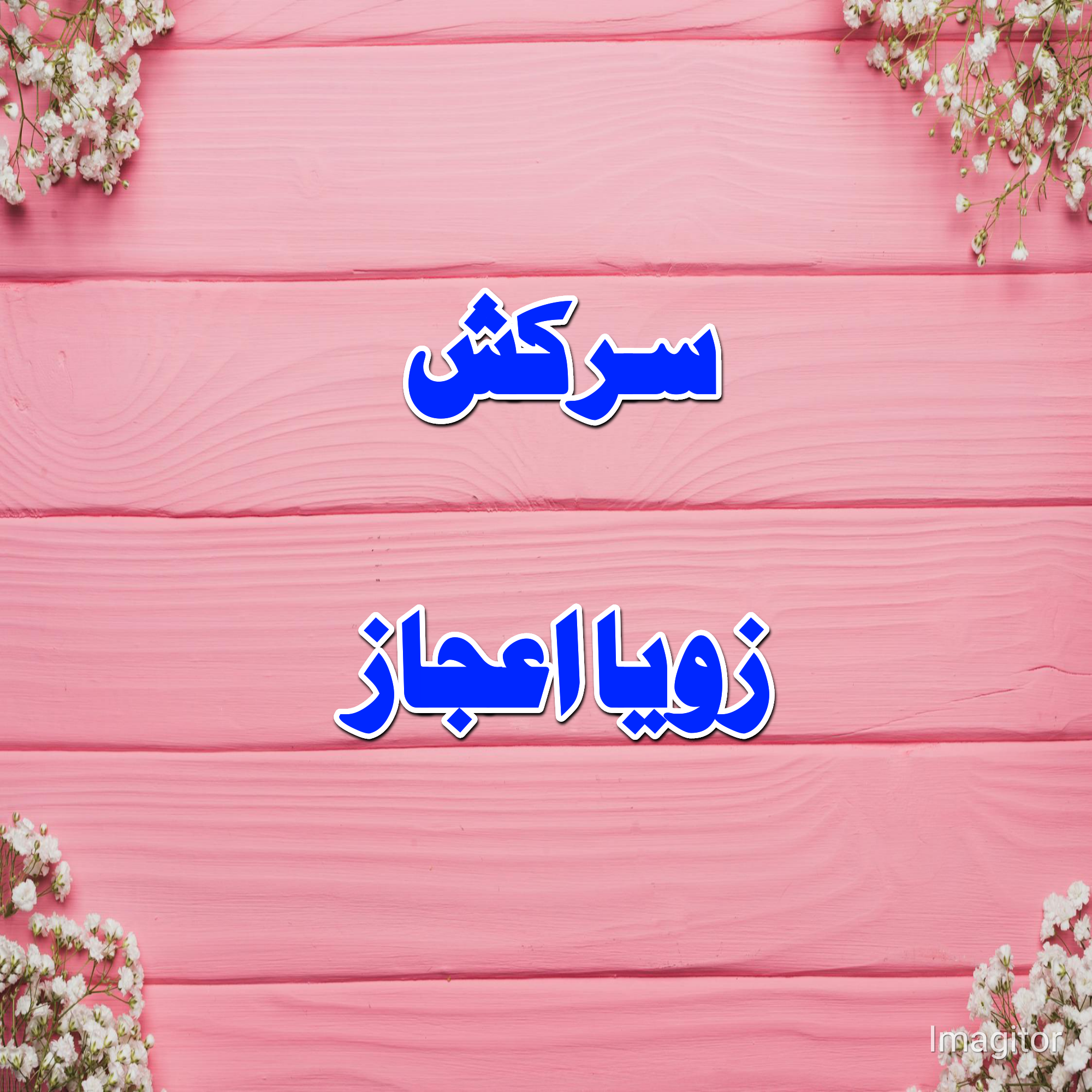Sarkash complete by Zoya Ijaz