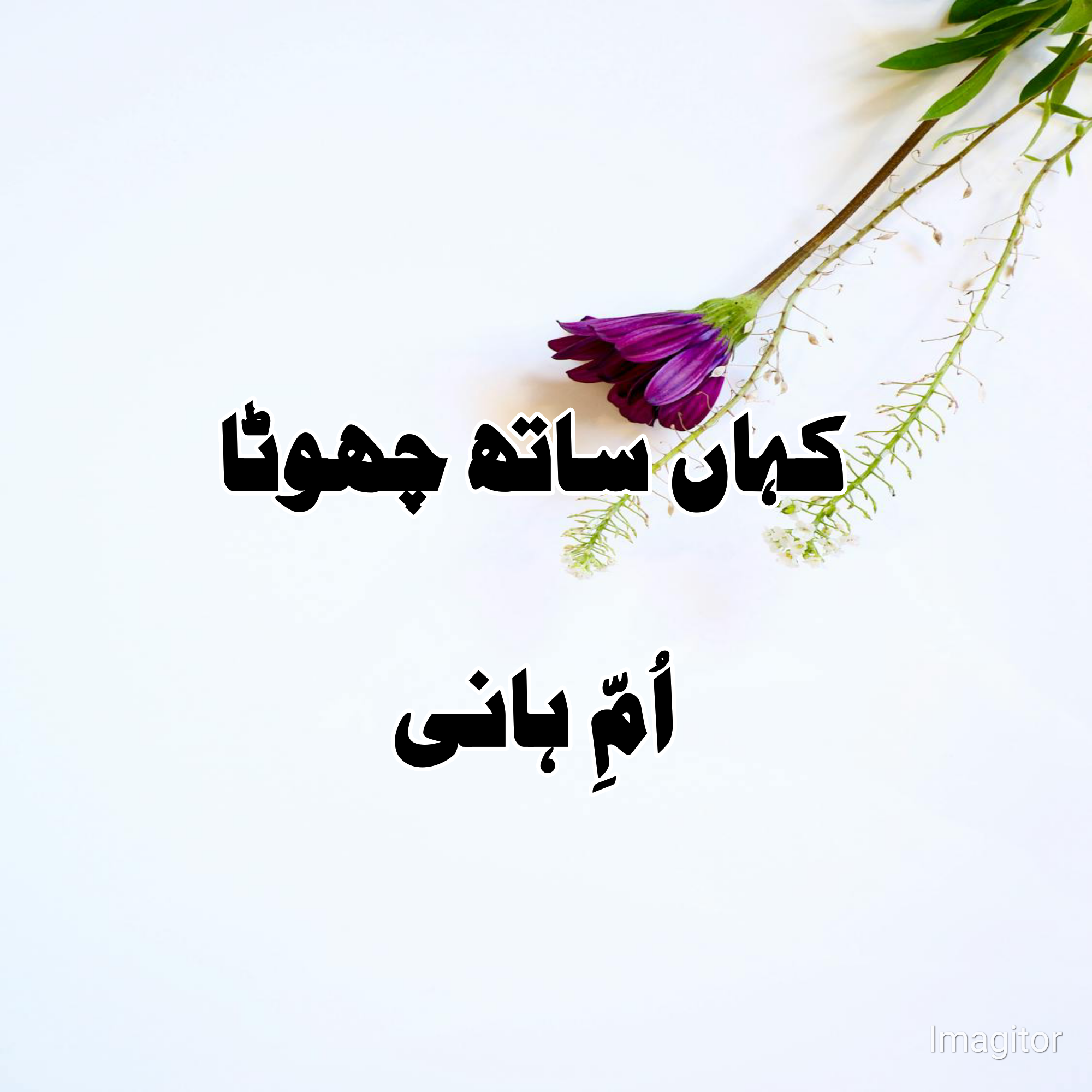 Kahan sath choota by Umme Hani