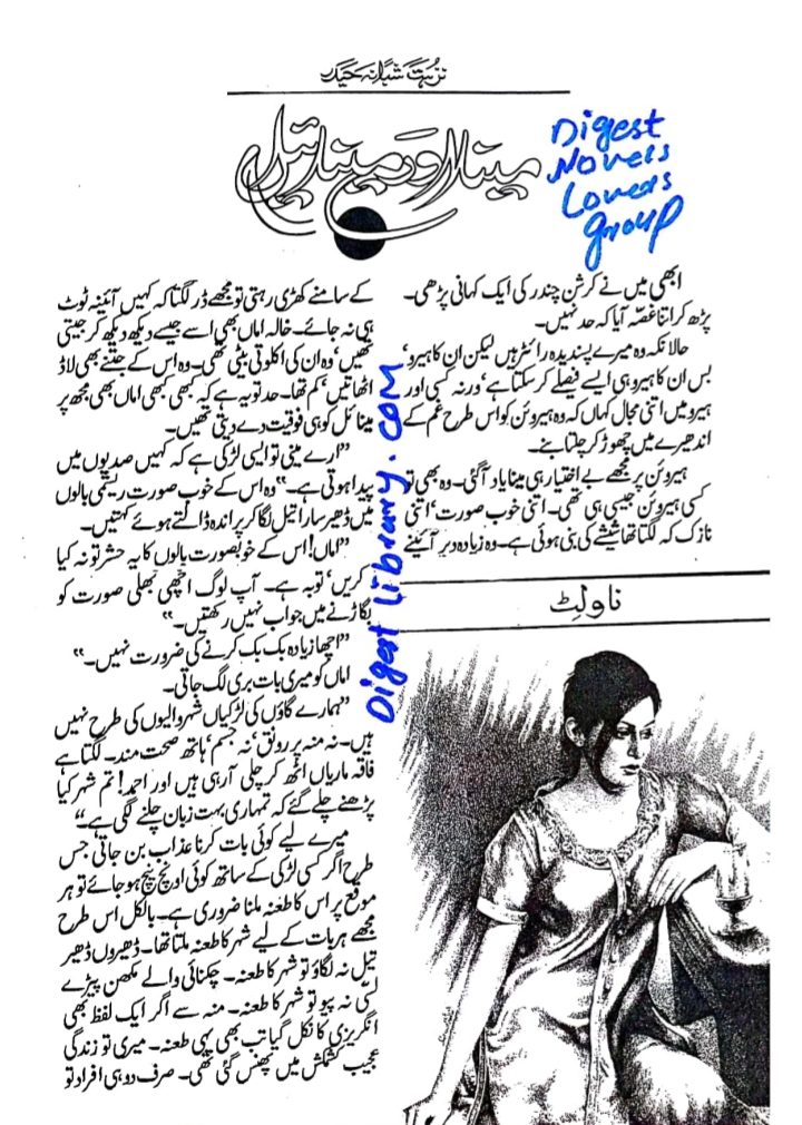 Meena aur Manail by Nuzhat Shabana Haidar
