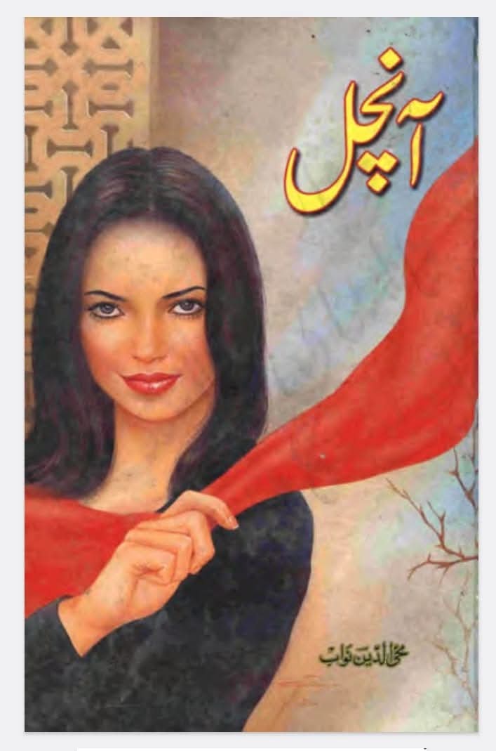 Aanchal by Mohiuddin Nawab