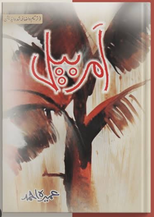 Amer Bail by Umaira Ahmad