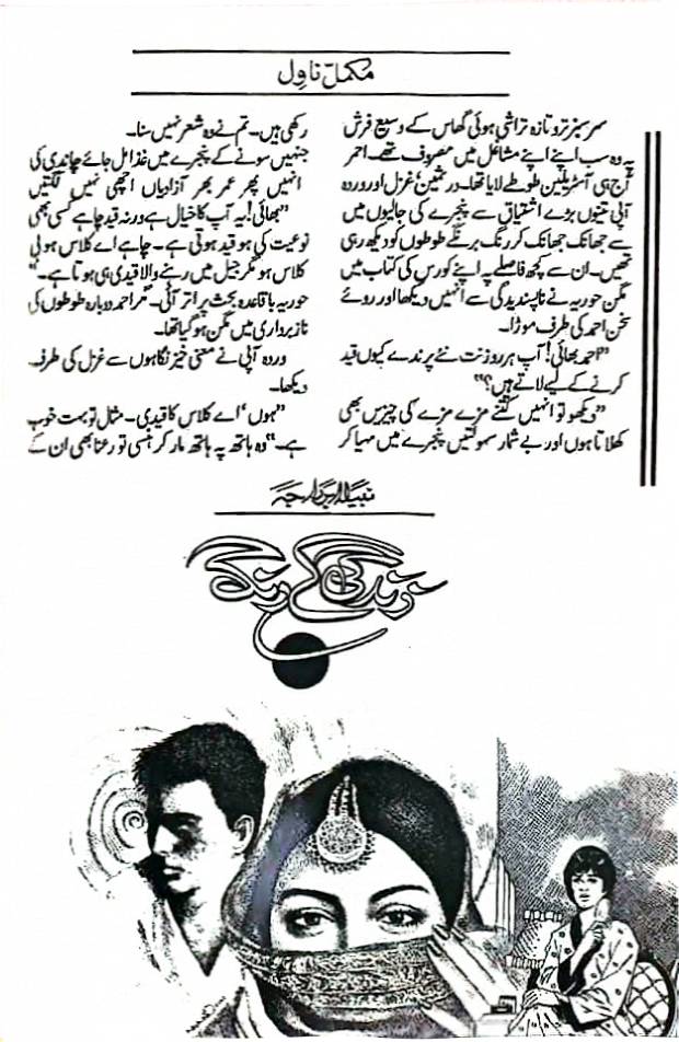 Zindagi ke rang by Nabila Abar Raja