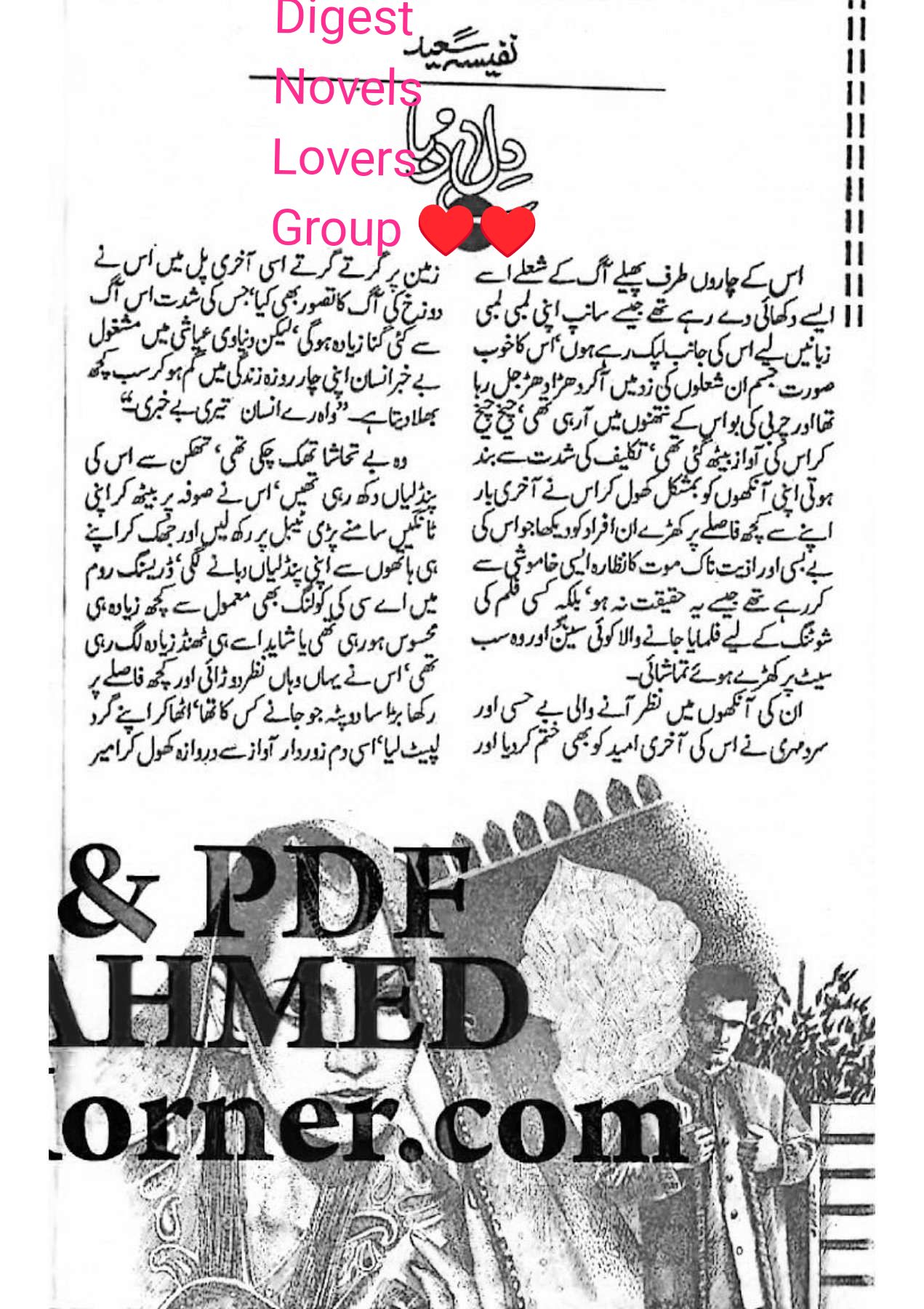 Dilruba by Nafeesa Sayed