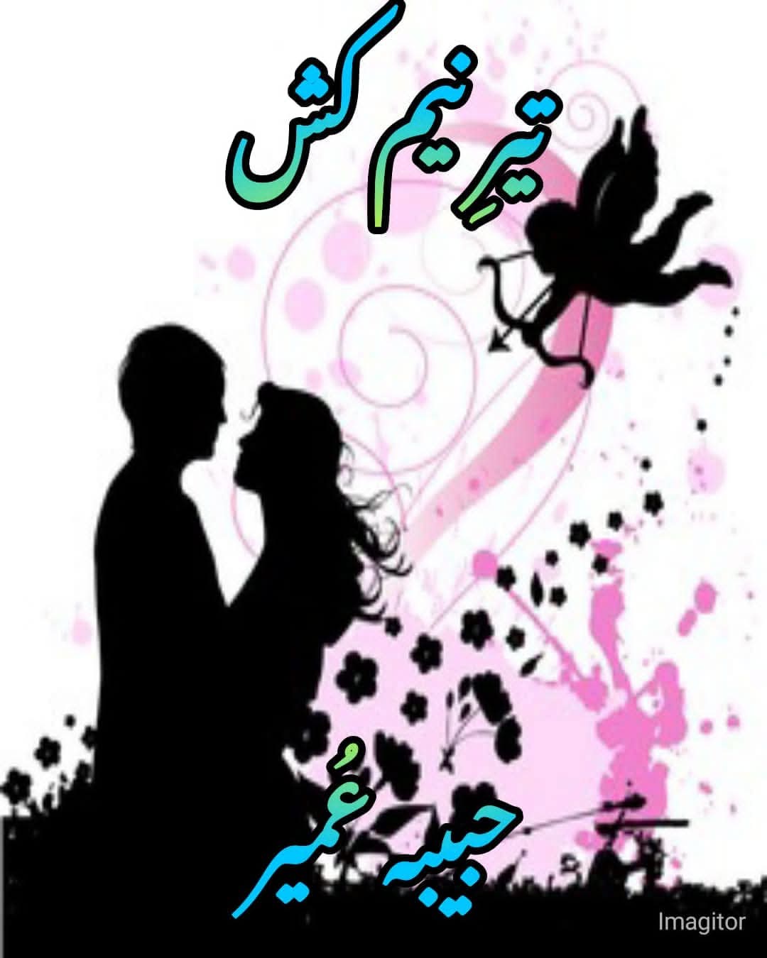 Teer e neem kash by Habiba Umair