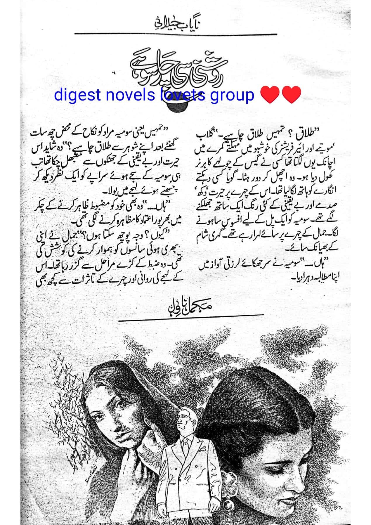 Roshani c chaar soo hai by Nayab Jailani