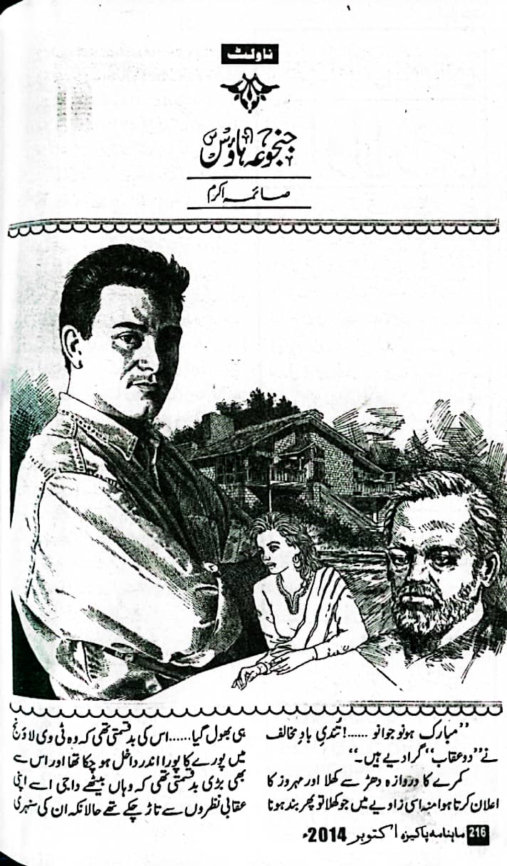 Janjua house by Saima Akram Chaudhary