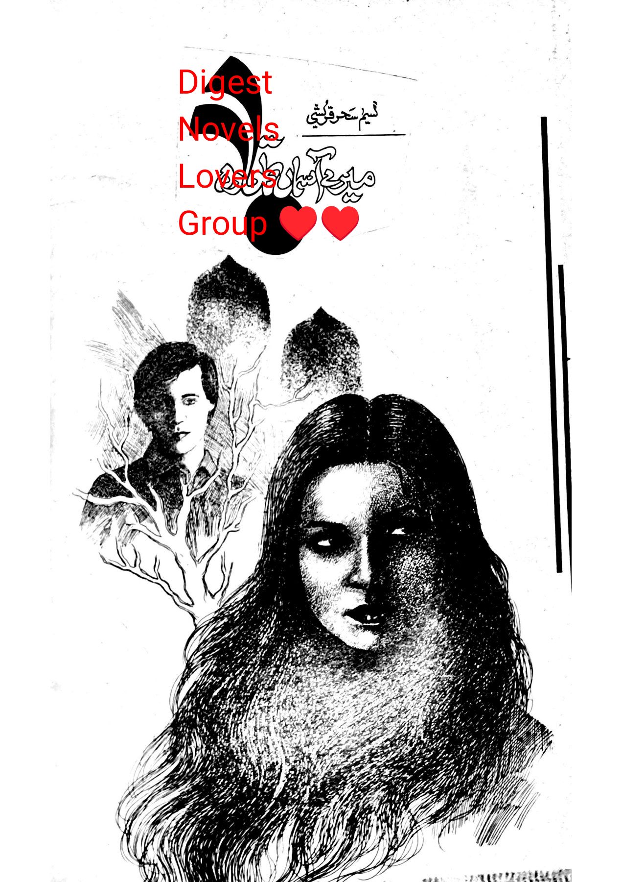 Mere asman ka tara by Naseem Sehar Quraishi