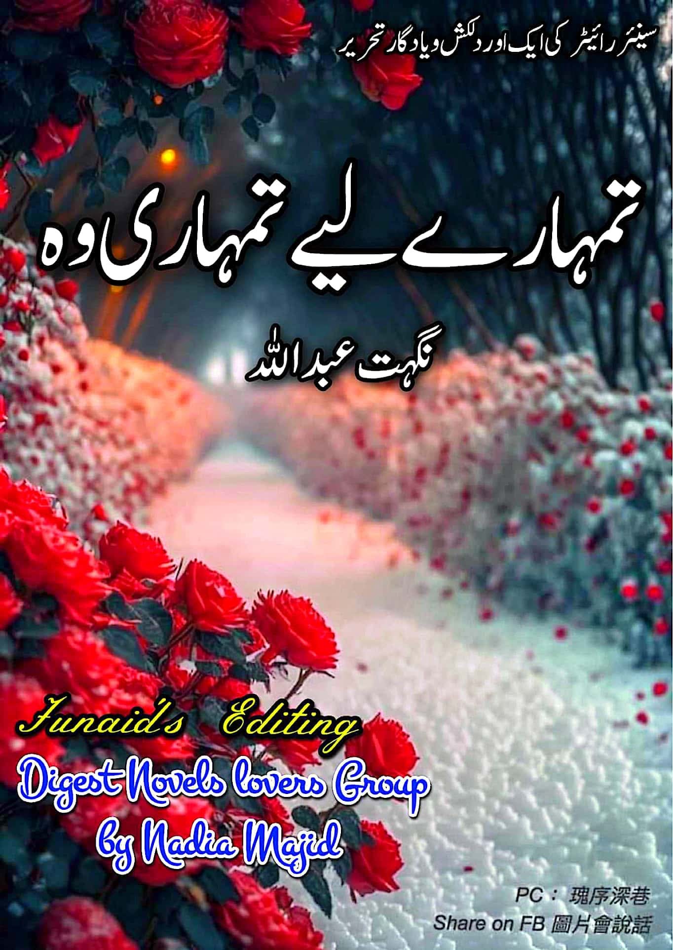 Tumharay leye tumhari wo by Nighat Abdullah