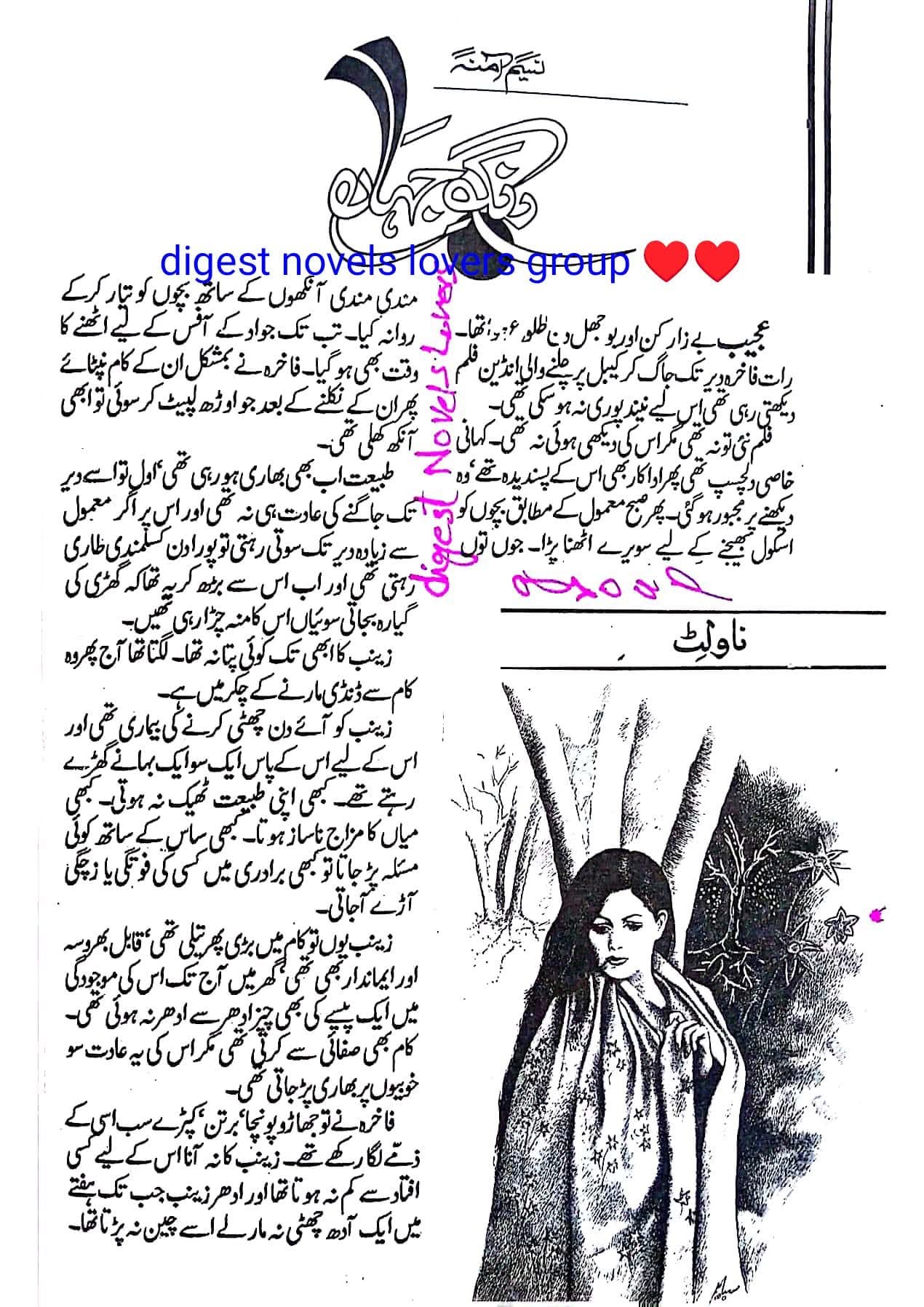 Rang e jahan by Naseem Amna