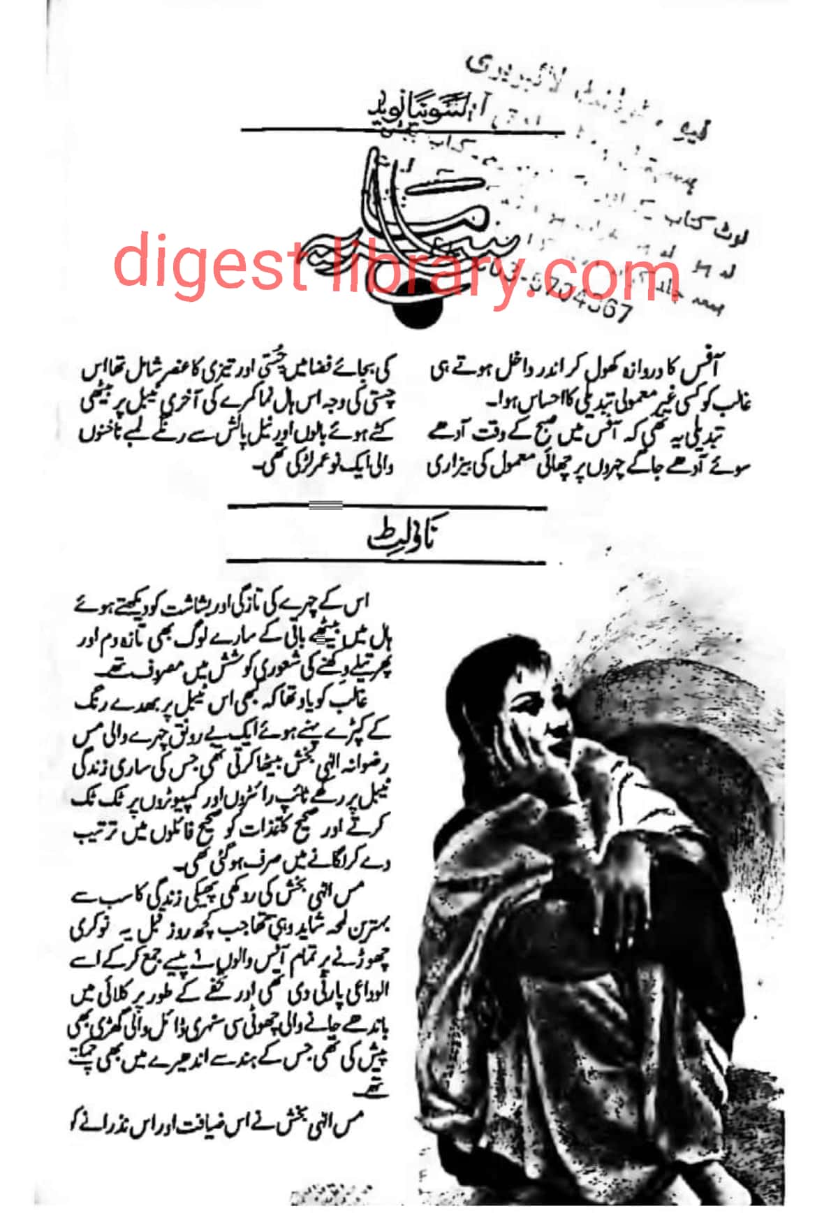 Sarmaia by Sonia Naveed