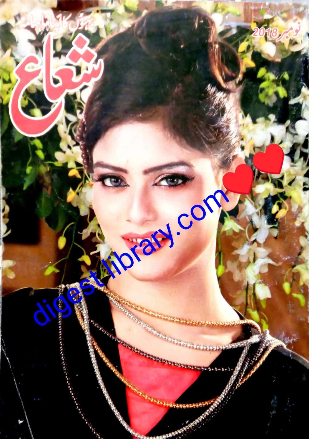 Shua digest November 2018 complete pdf