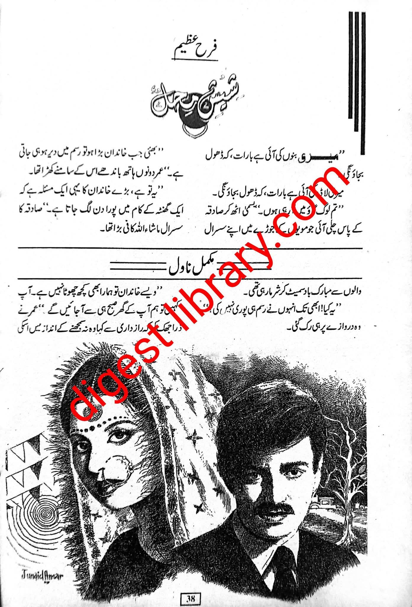 Sheesh Mahal by Farah Azeem