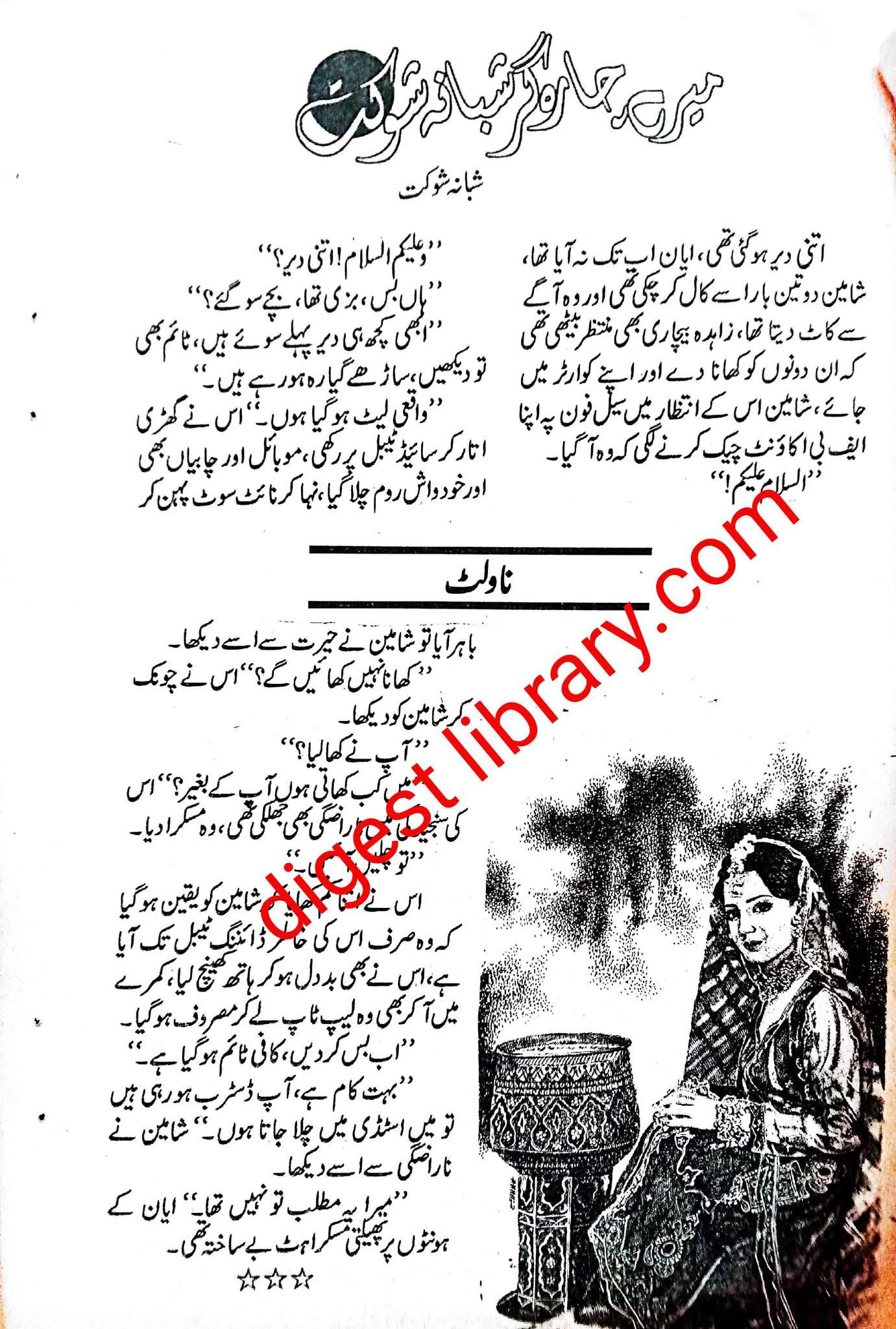 Mere charagar by Shabana Shaukat