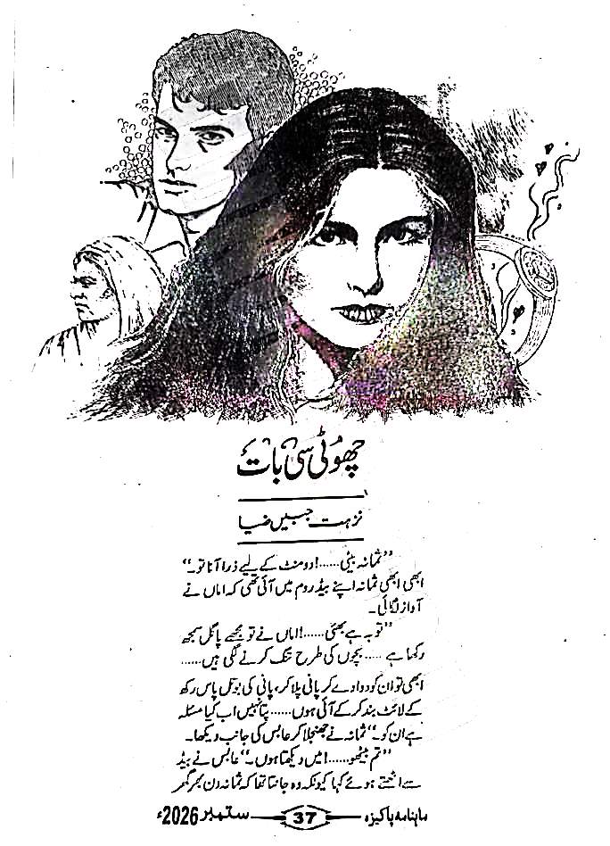 Choti see bat by Nuzhat Jabeen โ novel cover