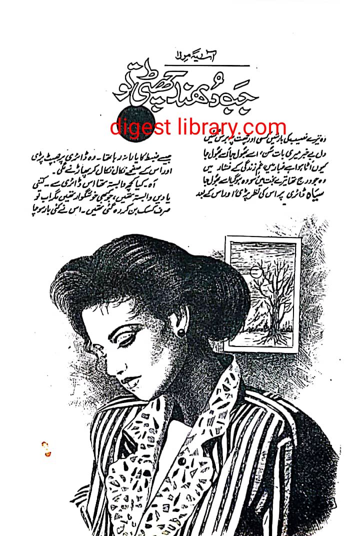 Jab dhund chati to by Asia Mirza โ novel cover