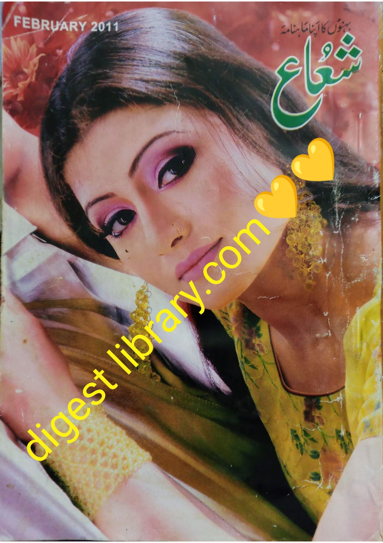 Shua digest January 2011